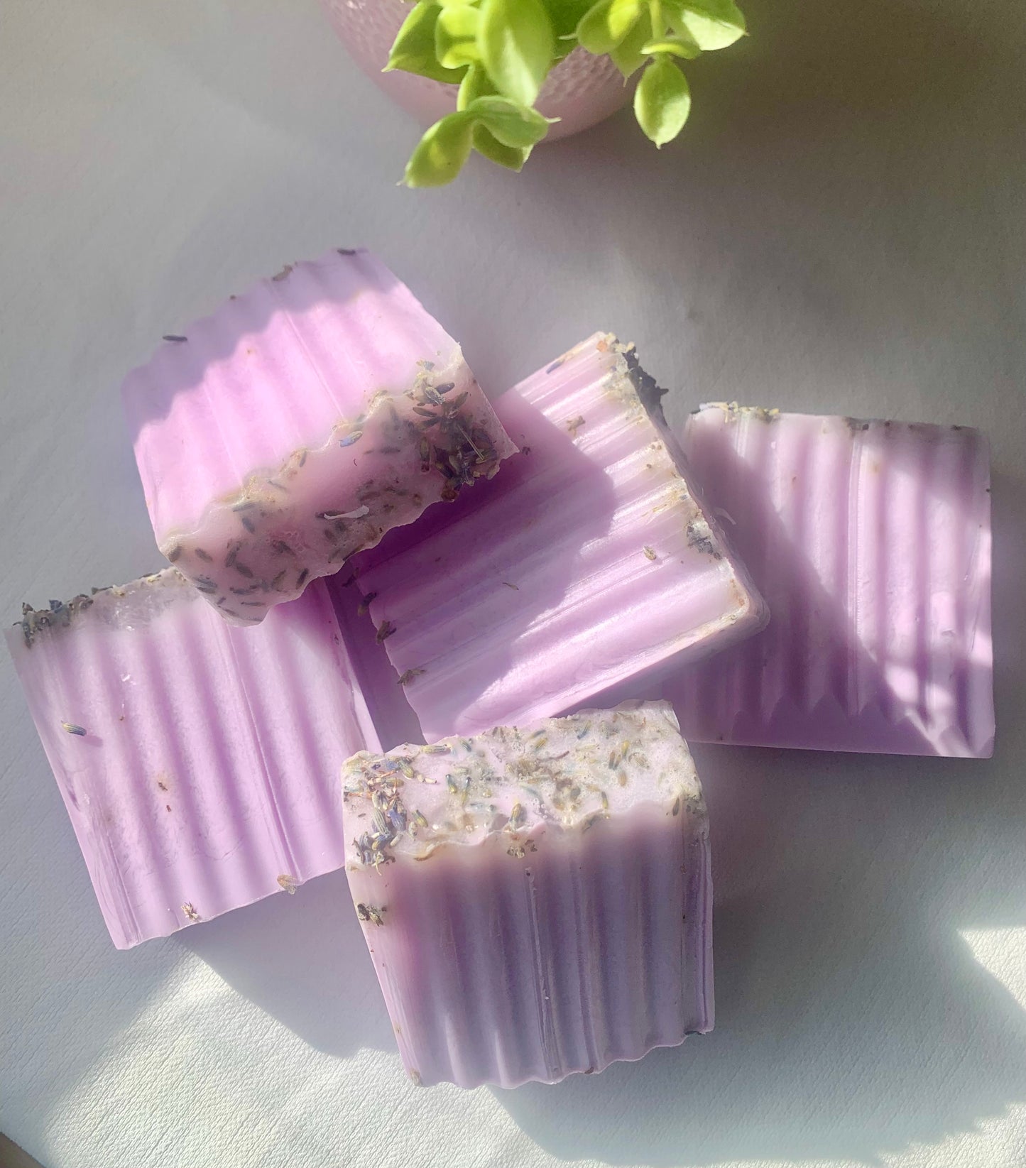 Lavender Dream Bar