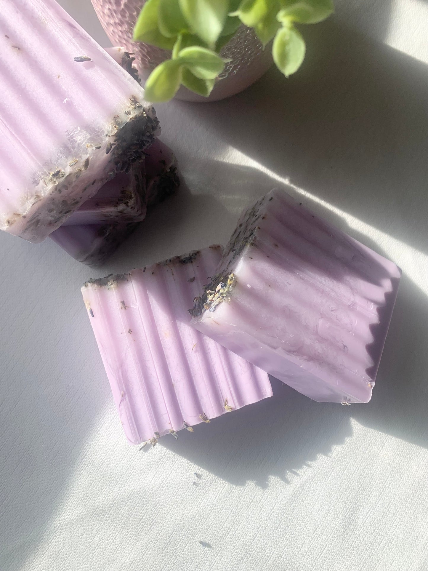 Lavender Dream Bar